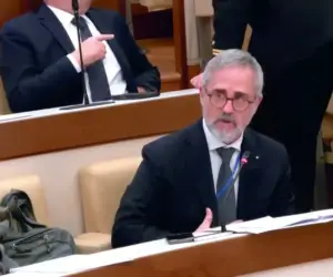 Comellini - Audizione 29 Febbraio 2024 - Definizione sulla Disabilità