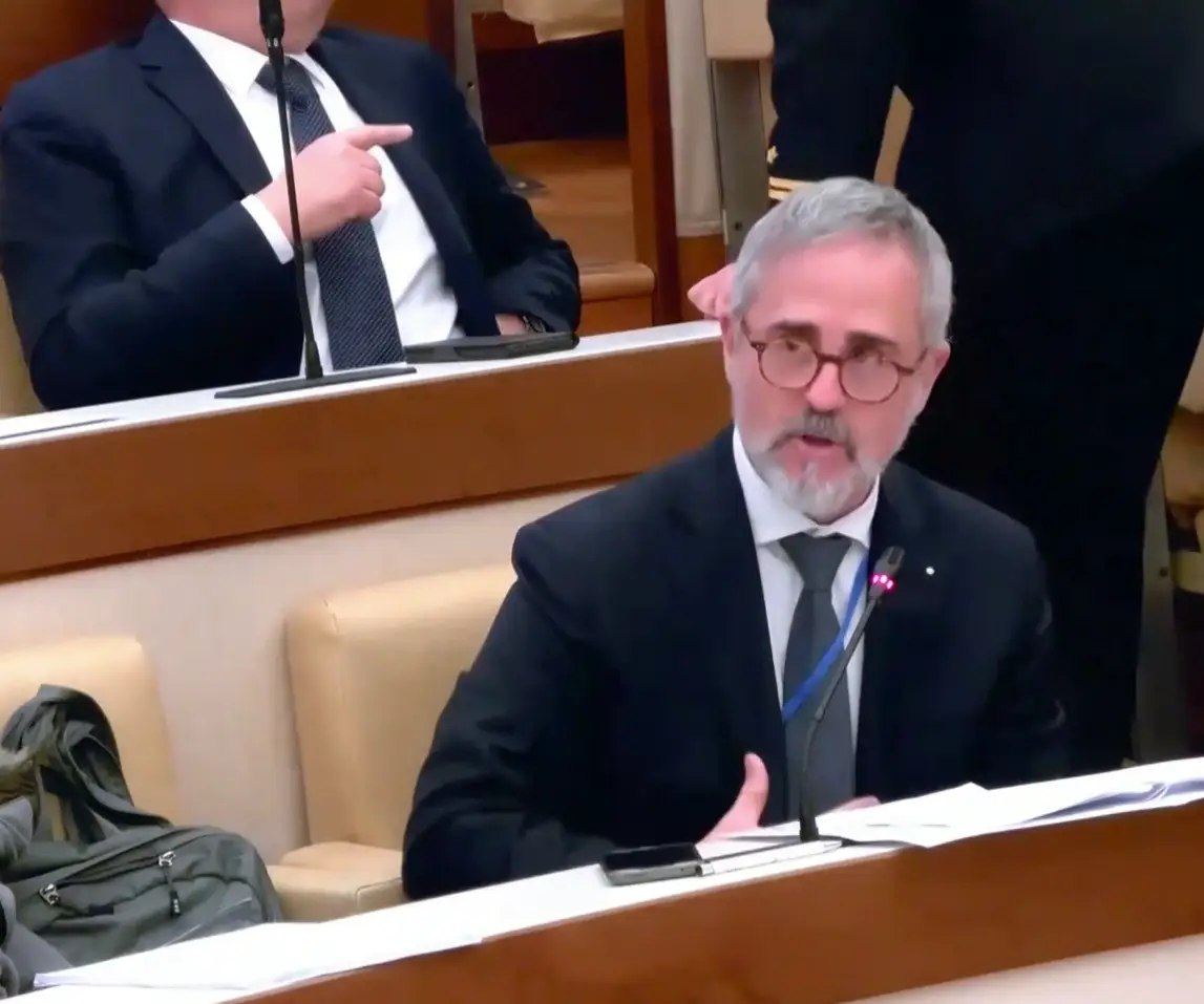 Comellini - Audizione 29 Febbraio 2024 - Definizione sulla Disabilità